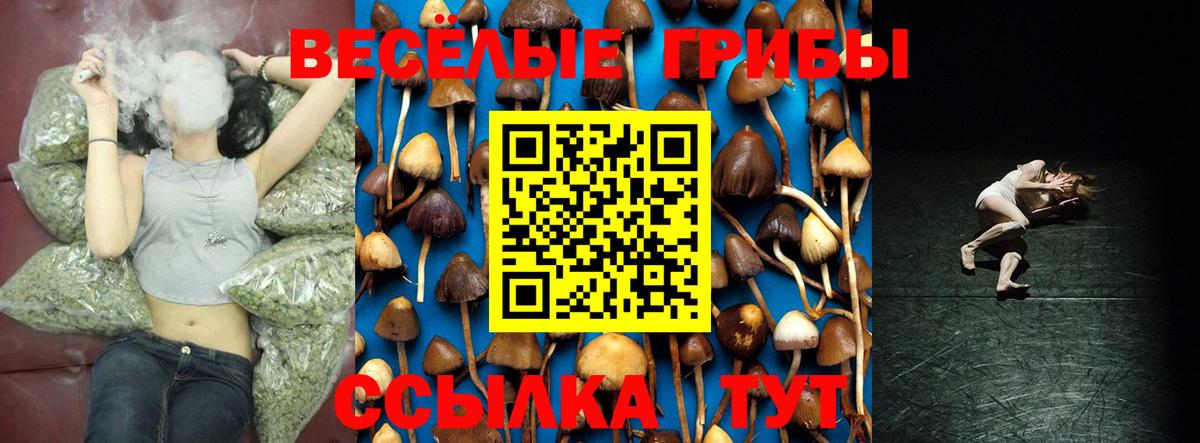 Галлюциногенные грибы Magic Shrooms Учалы